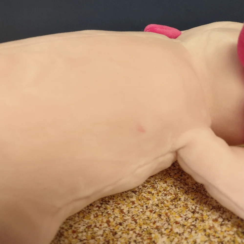 ∆Fiesta Snugglies Pink Axolotl Plush Stuffed animal 10.5in - Picture 13 of 16